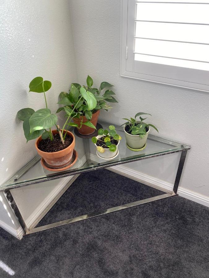 Private Room In La With Free Wifi And Tv With Shared Kitchen Los Angeles Zewnętrze zdjęcie